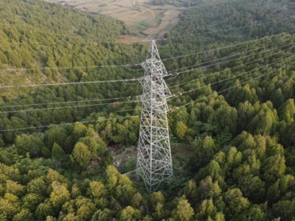山東瑞科電氣有限公司